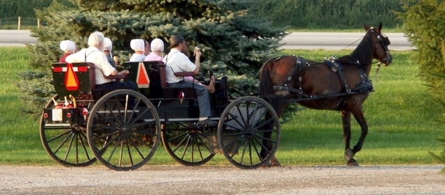life could be simpler, just like the amish in the country