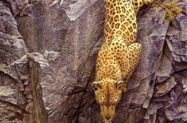 The Gallery in Burlington,Ontario