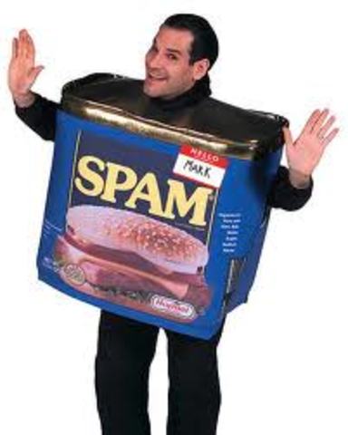 Spam is born