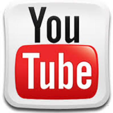 Youtube is Launched