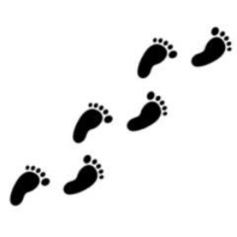 following footsteps
