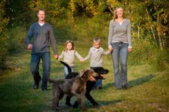 When i got my first dog