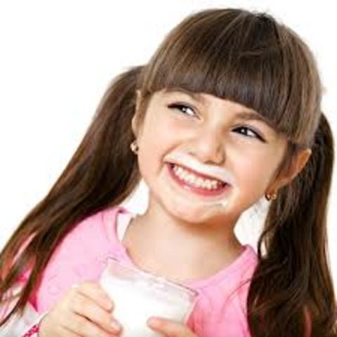 Etapa preconvencional