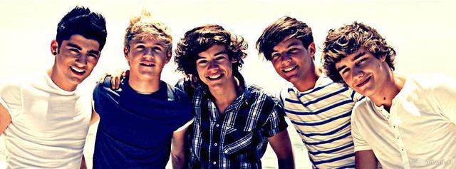 One DIrection concert