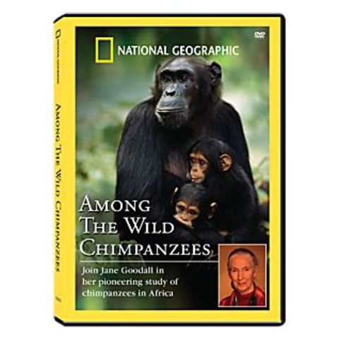 Television Appearance