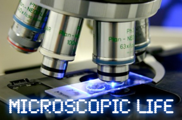 discovers microscopic life