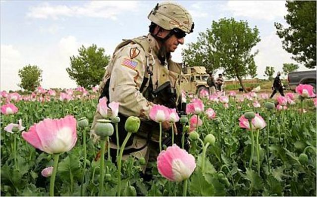 Opium Banned
