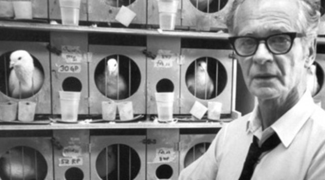 Operant Conditioning