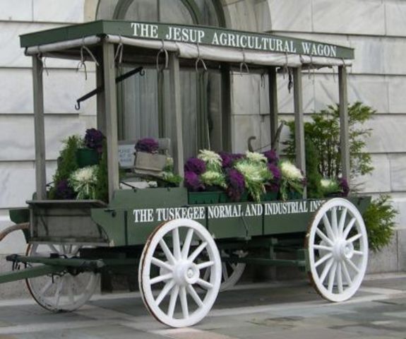 Travels with the Jesup.