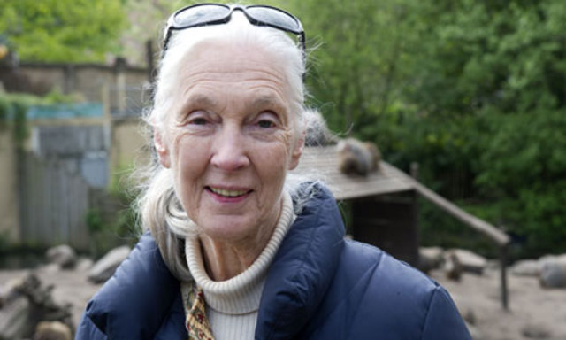 Dame Jane Goodall
