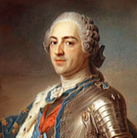 Erregeari konstituzio eginkizunak kendu.