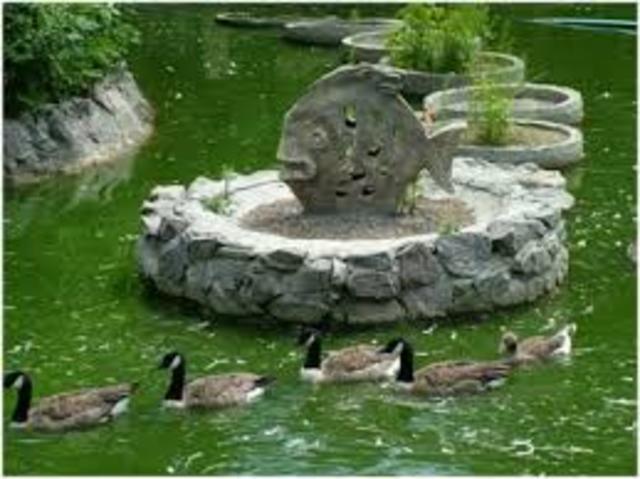 Послевоенное восстановление зоопарка