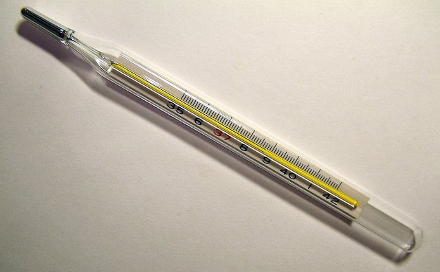 Mercury-type thermometer