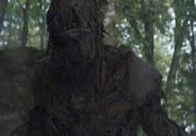 Resolves to find revenge