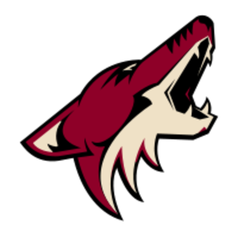 Phoenix Coyotes