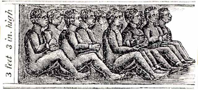 Chattle Slavery emerges