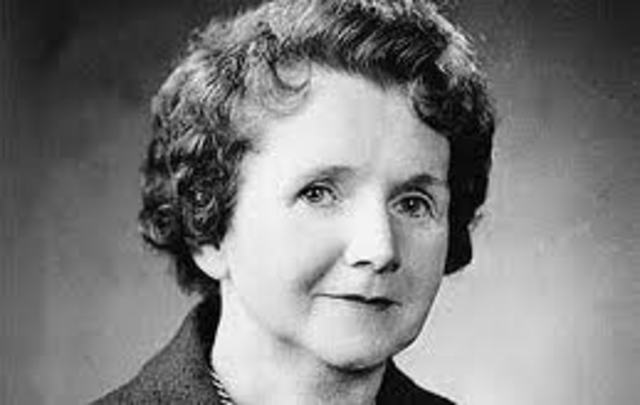 she appears on cbs reports tv