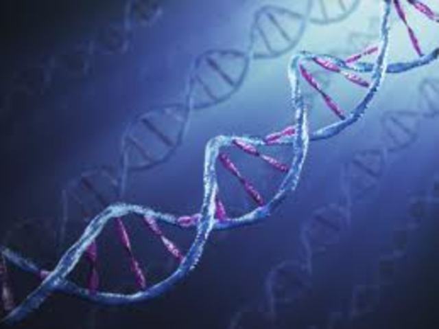 Oswald Avery, Colin Macleod, and Maclyn McCarty