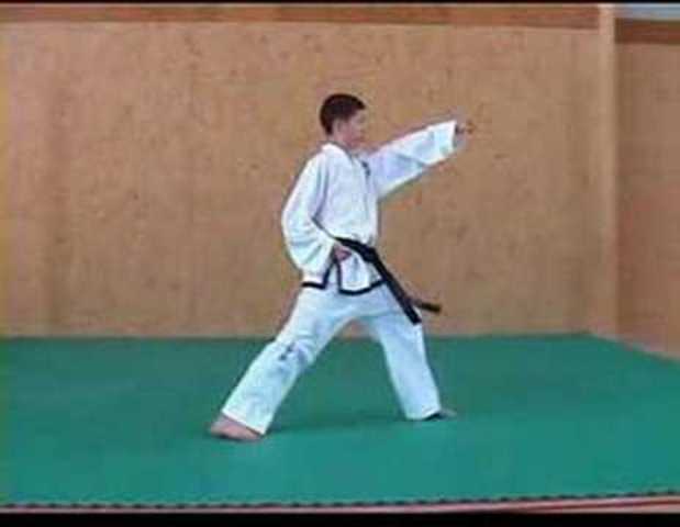 Gold medal for Taekwondo