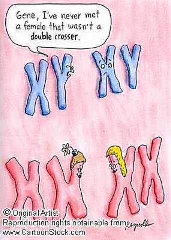 Nettie Stevens and Edmund Wilson