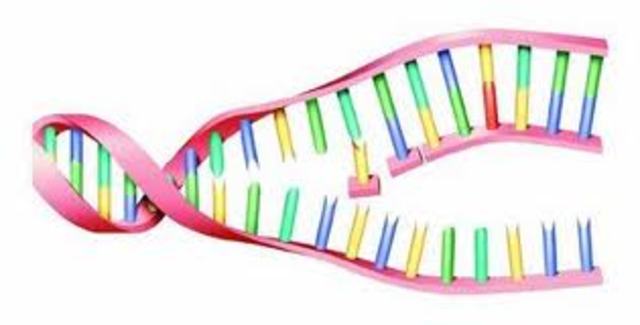 James Watson and Francis Crick