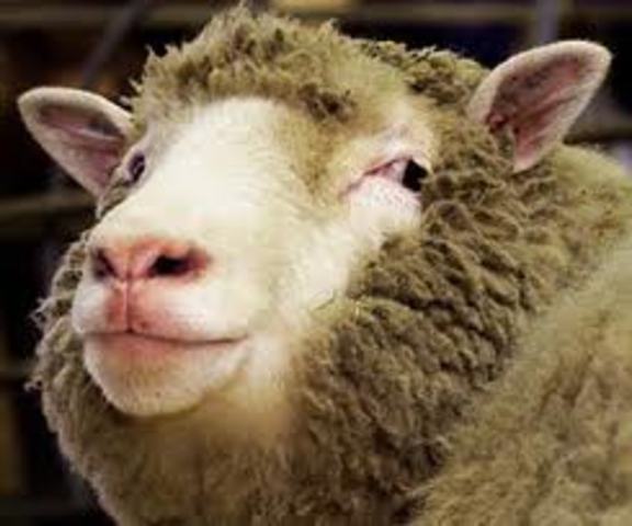 Collaborative Project