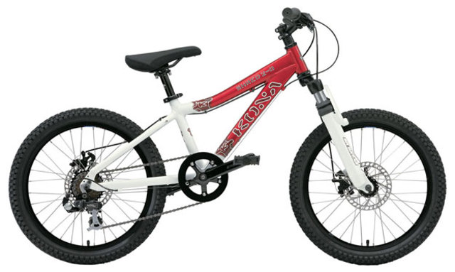 learned to ride my bike