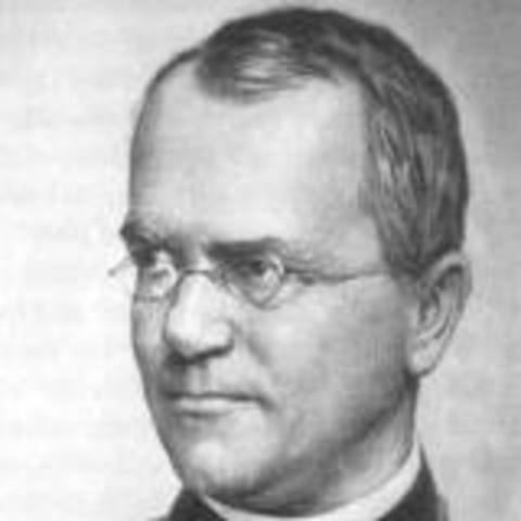 Gregor Mendel died