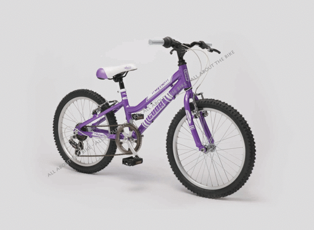 I Got A Bike For Christamas