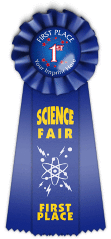 I Won The School Science Far