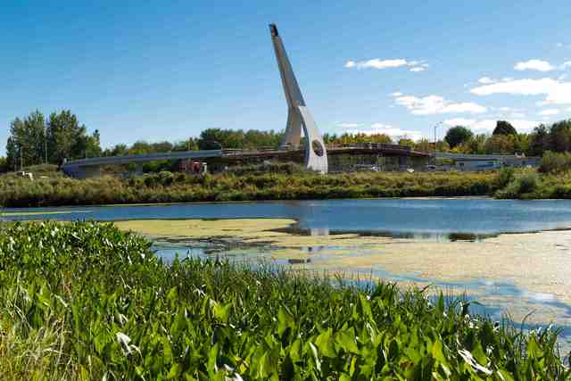 City to order third-party review