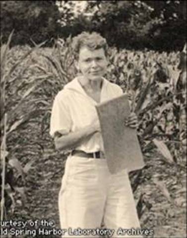 The Origin and Behavior of Mutable Loci in Maize