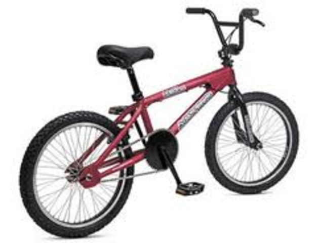 learned how to ride a bike