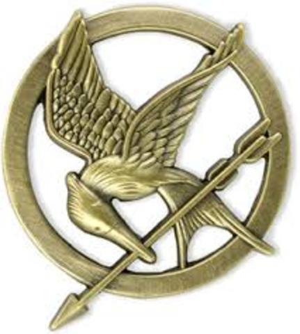 Mockingjay pin