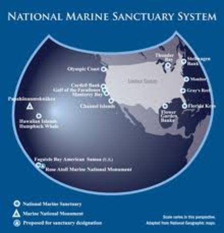 Led a Sustainable Seas Expedition