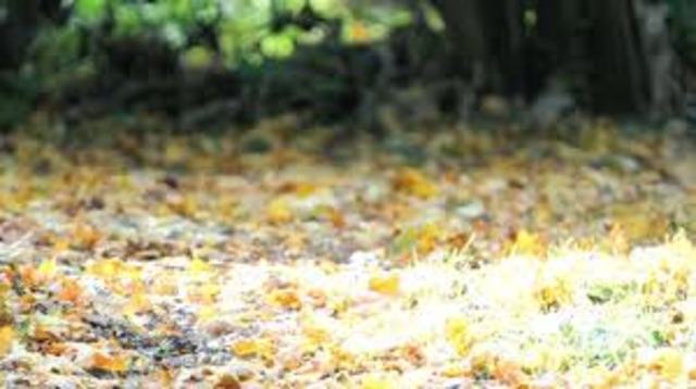 Ch:6 Beast from Air     Picking up (95)