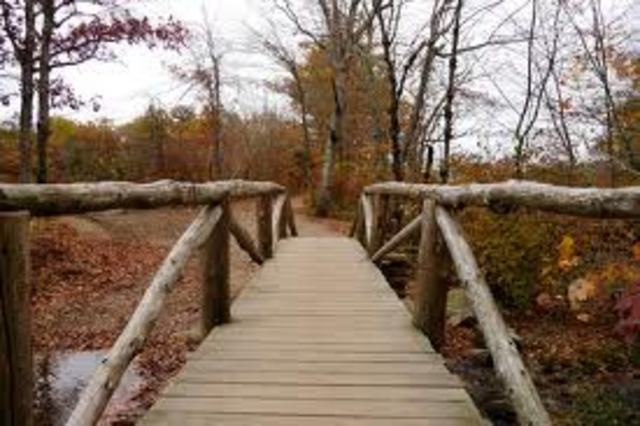 Out of controll (107)