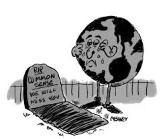 Common Sence is published