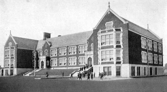 Newtons mom took him out of school to be a farmer