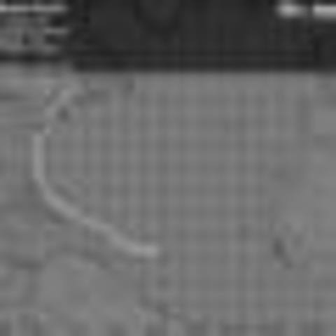 Hurricane San Triburcio