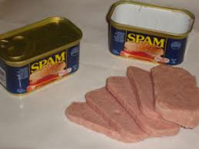 Spam is Born