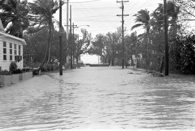 Hurricane Betsy (Santa Clara)