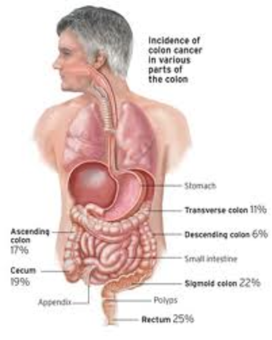 Found out my dad has cancer