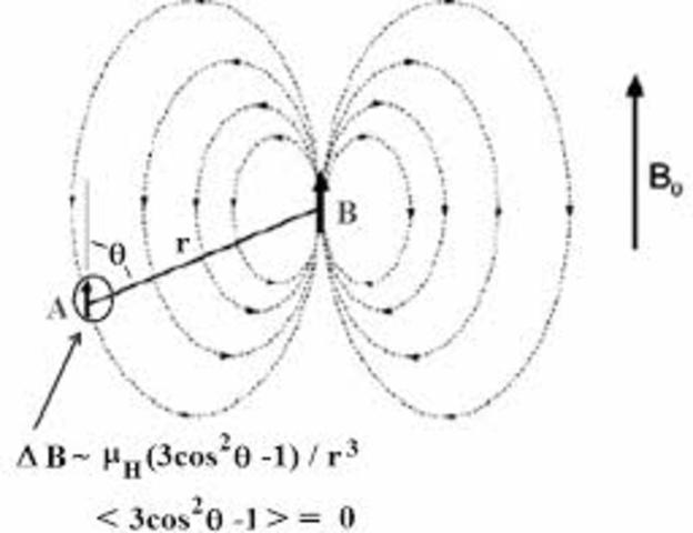 DESCUBRIO EL ACOPLAMIENTO ESCALAR SPIN-SPIN.