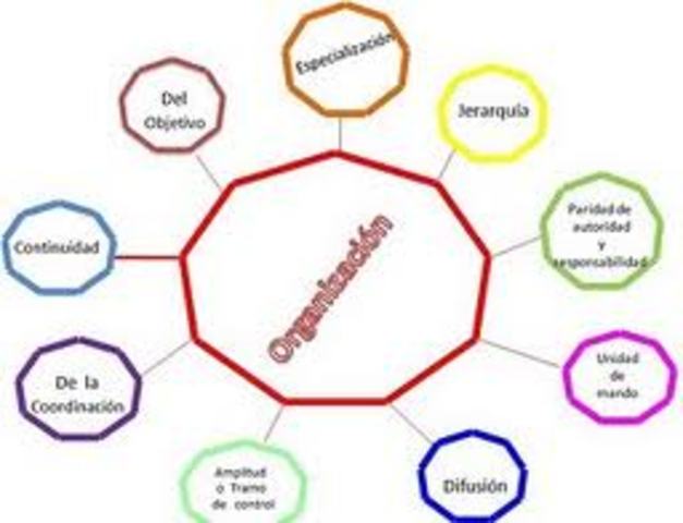 principios de organizaciòn