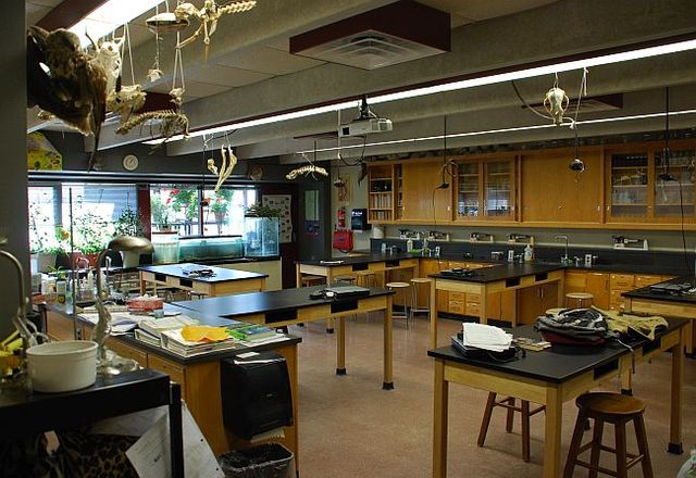 Science Labs at Elementary Schools