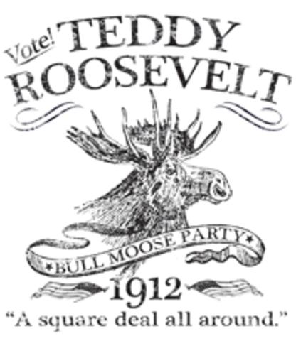 Bull Moose Party