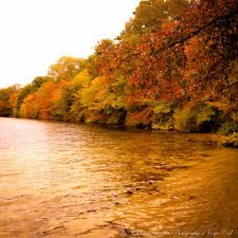 Arriving in Cape Cod