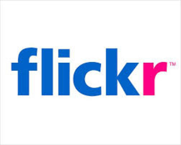 The website Flickr goes public