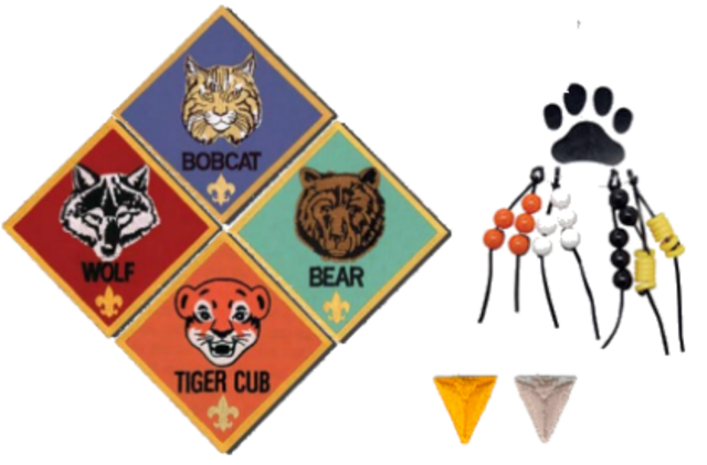 cub scouts